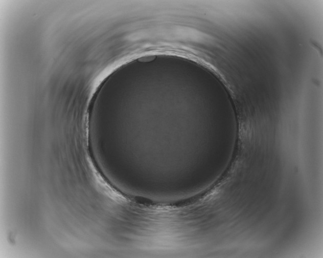 X0000103271522200808291228