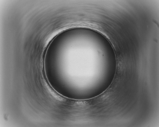 X0000103271523200808291228