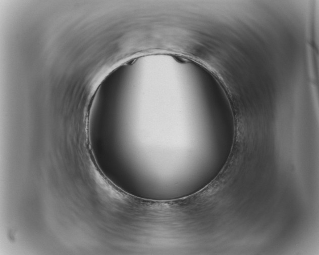 X0000103271524200808291228