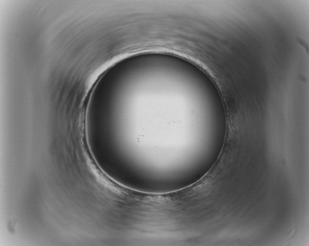 X0000103271526200808291229