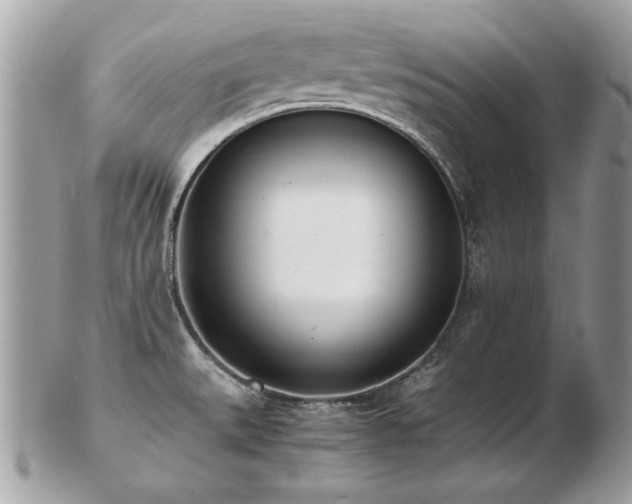 X0000103271527200808291229