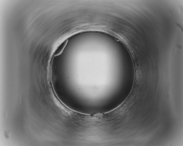 X0000103271528200808291229