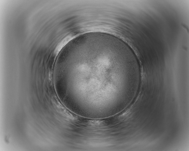 X0000103271529200808291229