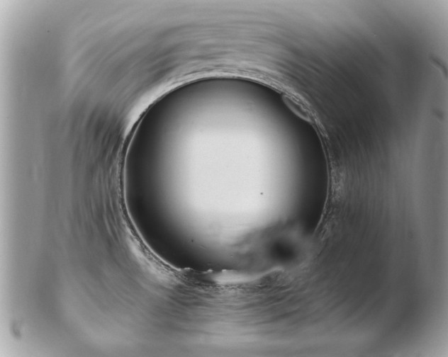 X0000103271530200808291229