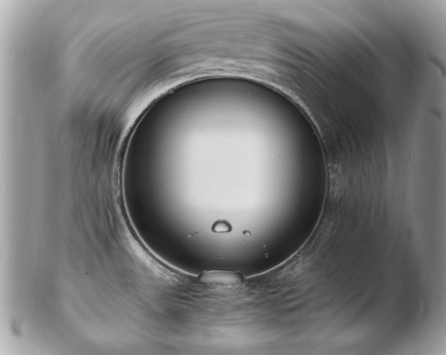 X0000103271531200808291229