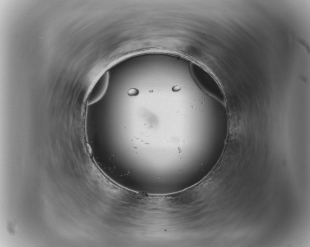 X0000103271532200808291229