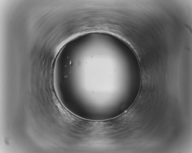 X0000103271534200808291229