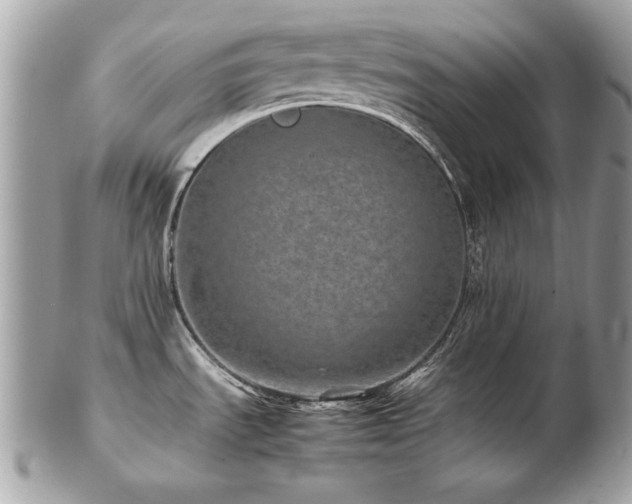 X0000103271535200808291229