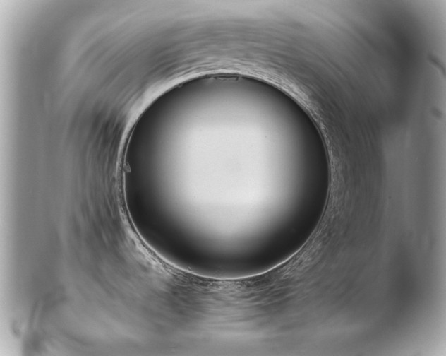 X0000103271536200808291229