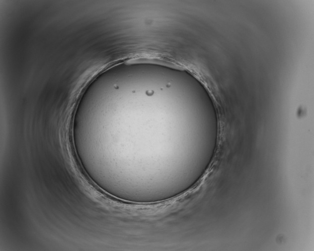X0000103270001200809051518