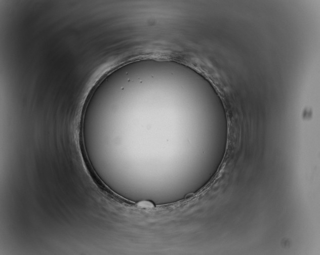 X0000103270003200809051518
