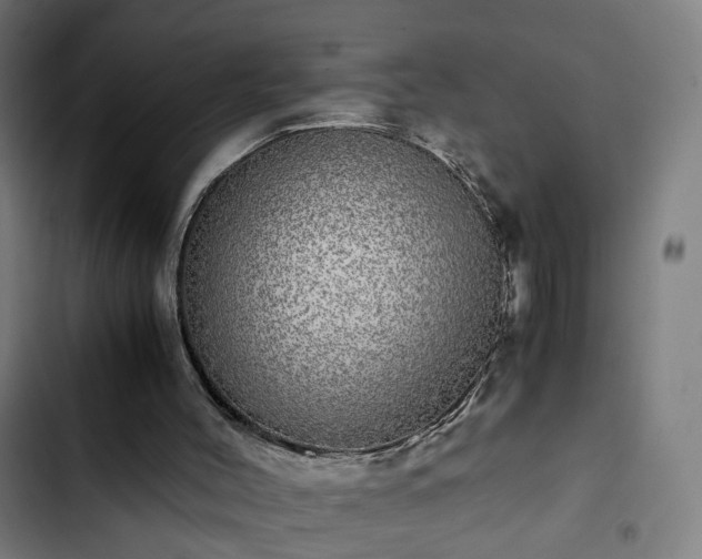 X0000103270004200809051518