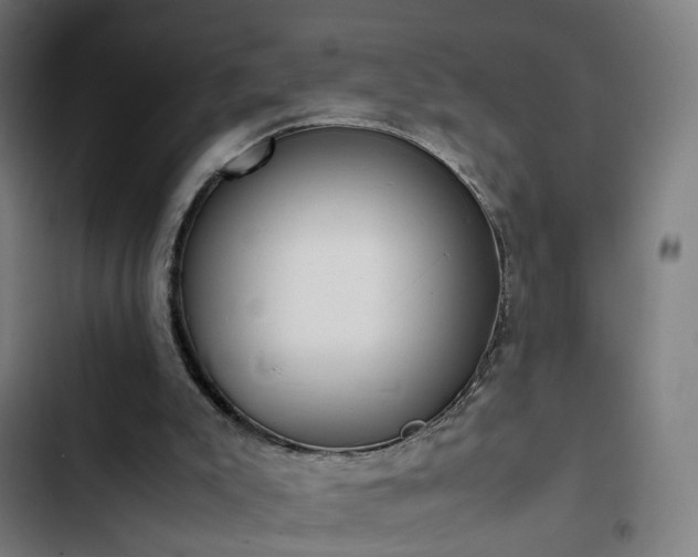X0000103270007200809051518