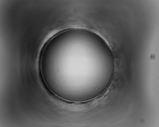X0000103270008200809051518