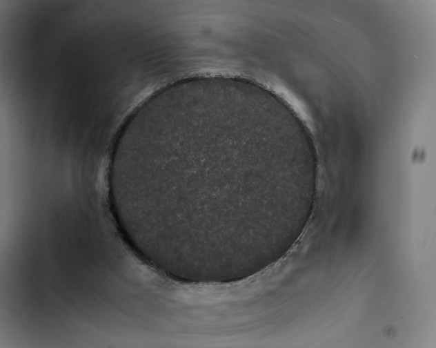 X0000103270009200809051518