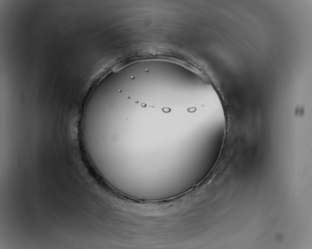X0000103270010200809051518