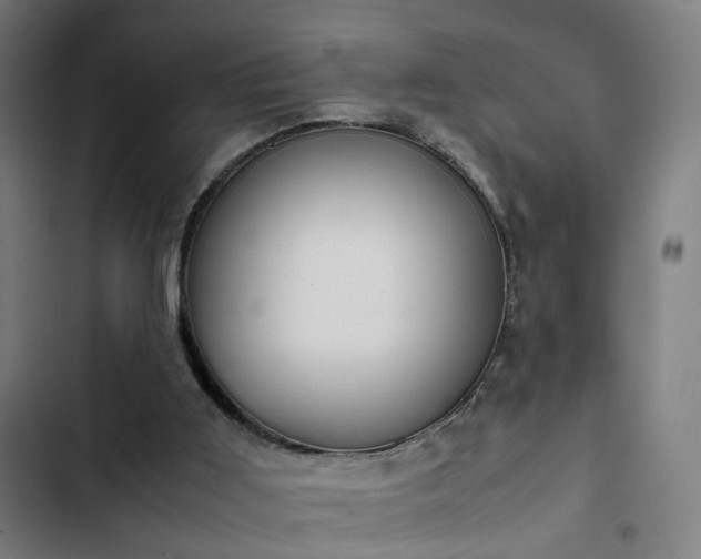 X0000103270011200809051518
