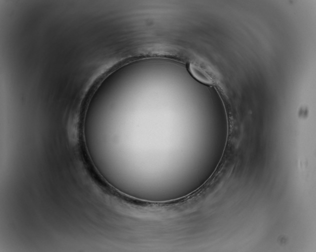 X0000103270012200809051518