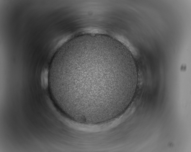 X0000103270014200809051518