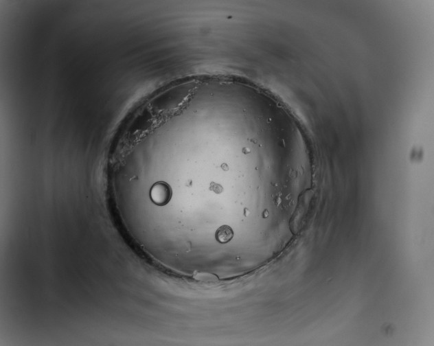 X0000103270015200809051518