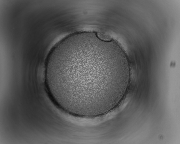 X0000103270016200809051518