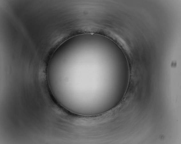 X0000103270017200809051518