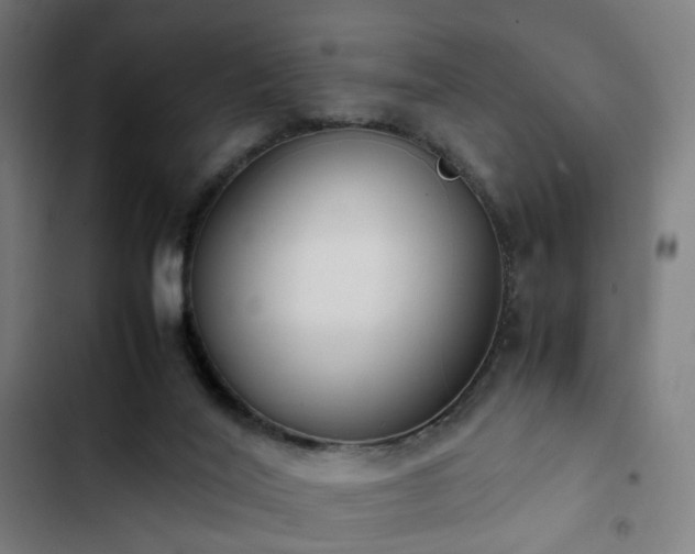 X0000103270020200809051518