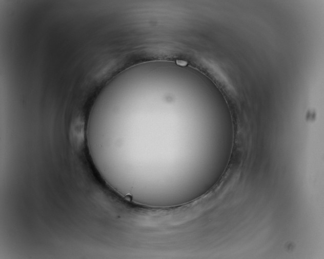 X0000103270021200809051518