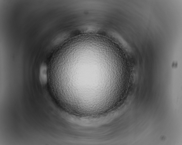 X0000103270022200809051518