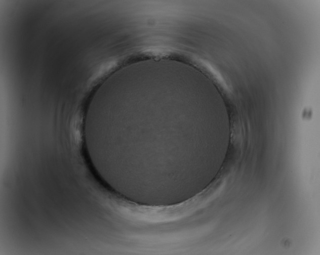X0000103270023200809051518