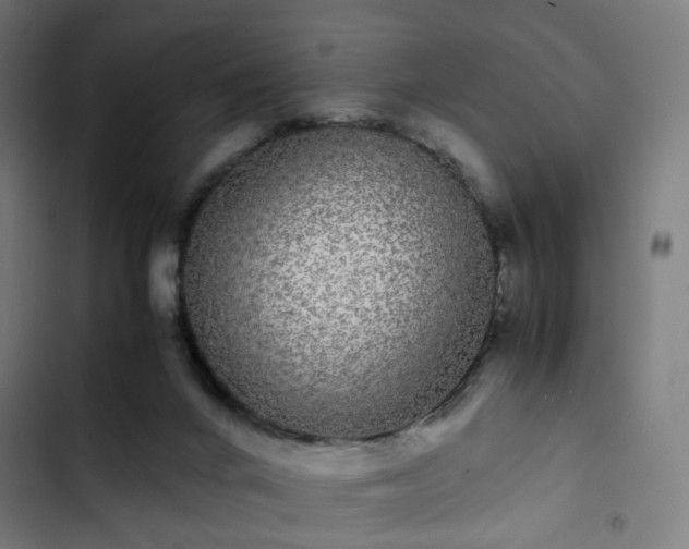 X0000103270024200809051518