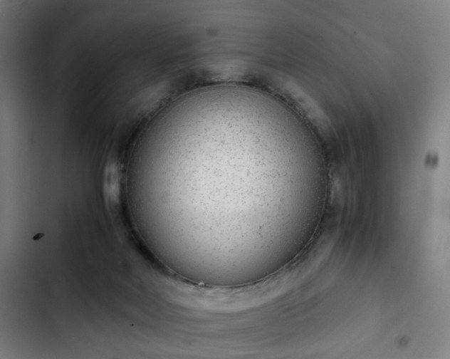 X0000103270026200809051518