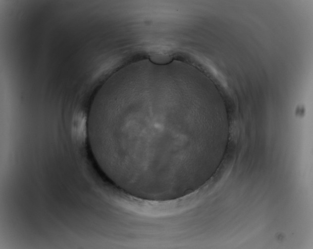 X0000103270027200809051518