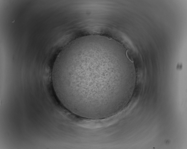 X0000103270029200809051518