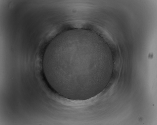 X0000103270031200809051518