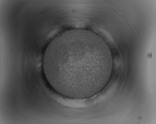 X0000103270032200809051518