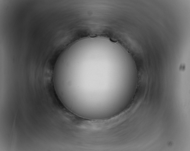 X0000103270033200809051518