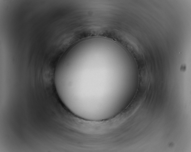 X0000103270034200809051518