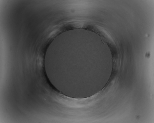 X0000103270035200809051518