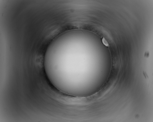 X0000103270036200809051518