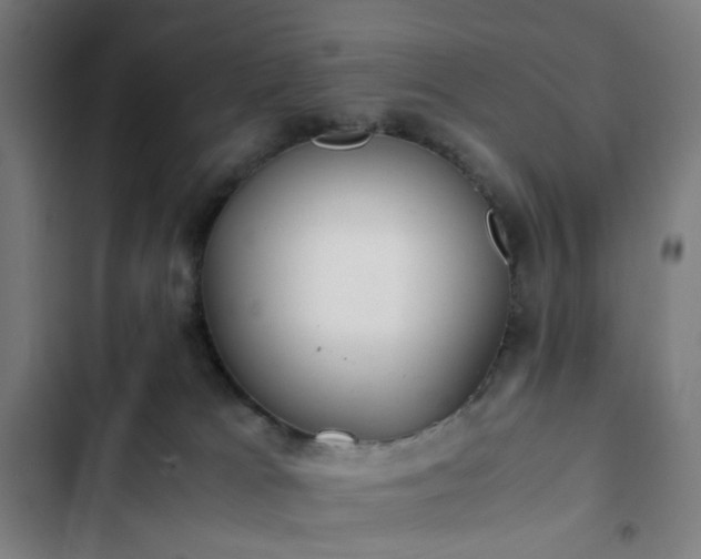 X0000103270037200809051518