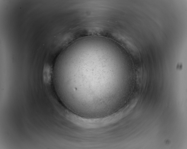 X0000103270038200809051518