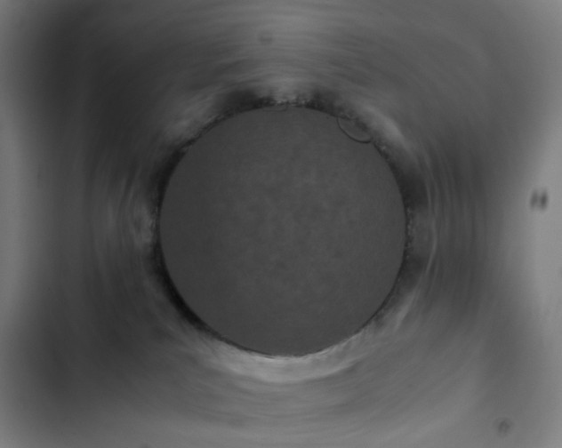 X0000103270039200809051518