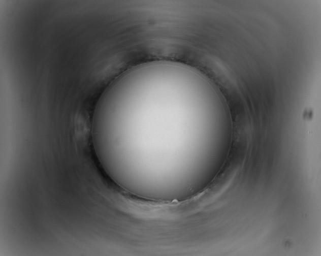 X0000103270040200809051518