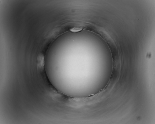 X0000103270041200809051518
