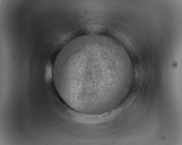X0000103270042200809051518