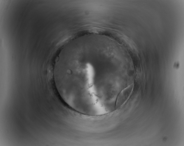 X0000103270043200809051518