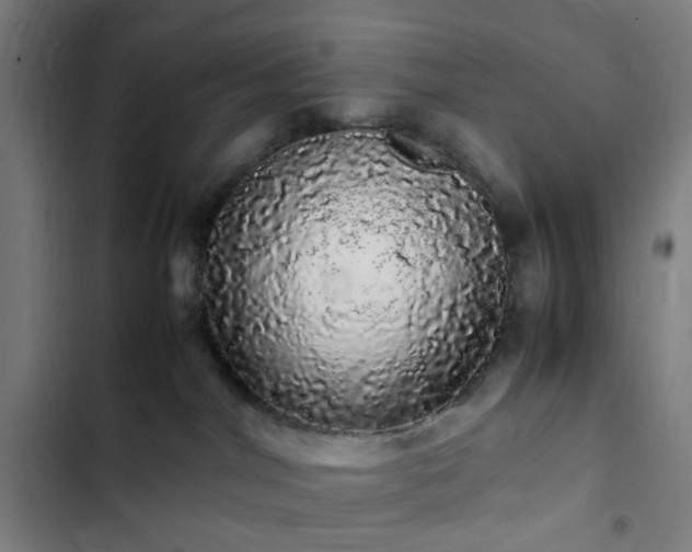 X0000103270044200809051517