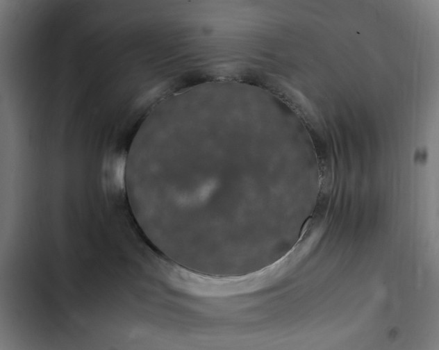 X0000103270047200809051517