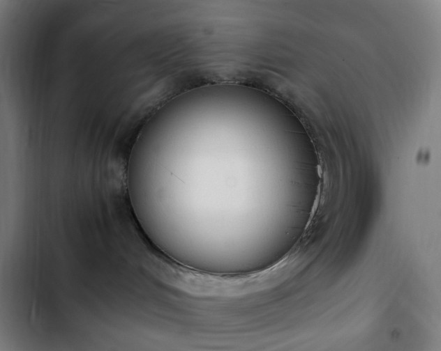 X0000103270048200809051517